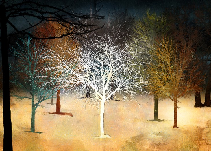 Spreading The Light sm